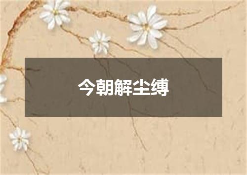 今朝解尘缚