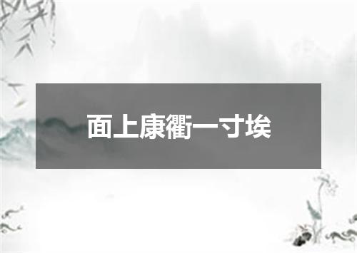 面上康衢一寸埃