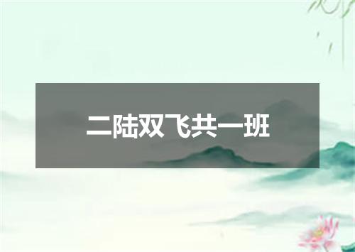 二陆双飞共一班