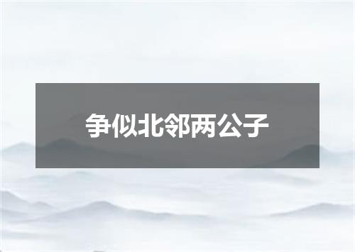争似北邻两公子