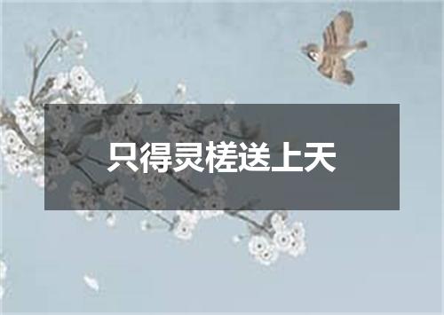 只得灵槎送上天