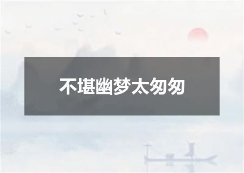 不堪幽梦太匆匆