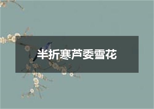 半折寒芦委雪花