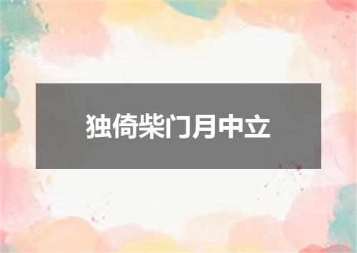 独倚柴门月中立