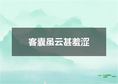 客囊虽云甚羞涩
