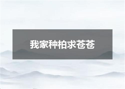 我家种柏求苍苍