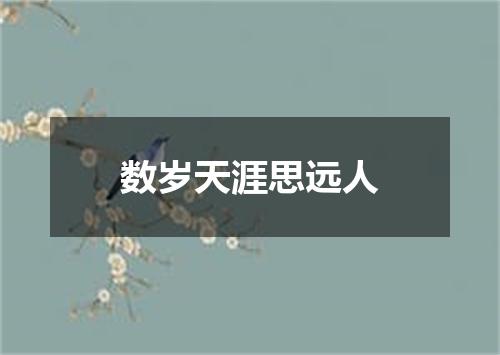 数岁天涯思远人