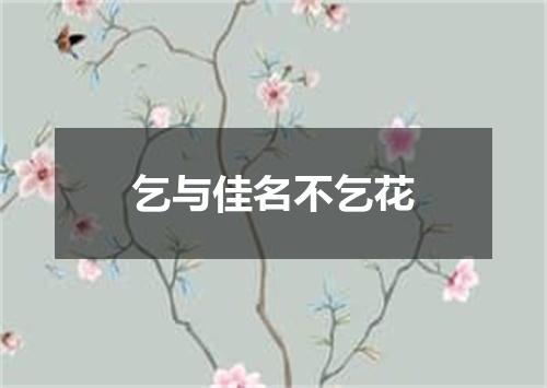 乞与佳名不乞花