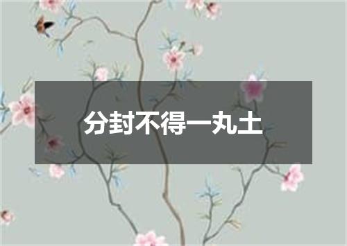 分封不得一丸土