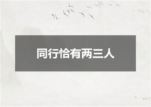 同行恰有两三人