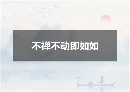 不禅不动即如如