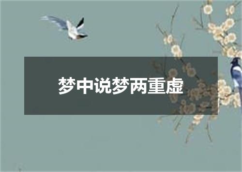 梦中说梦两重虚
