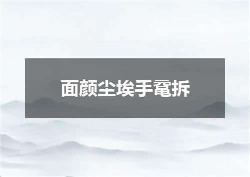 面颜尘埃手鼋拆