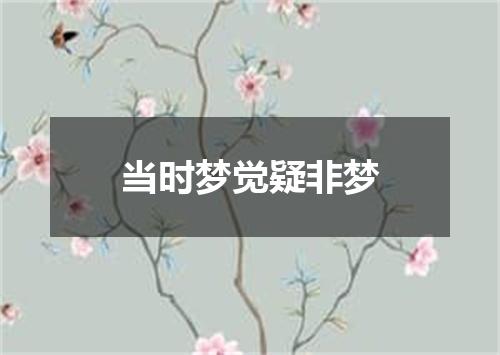 当时梦觉疑非梦