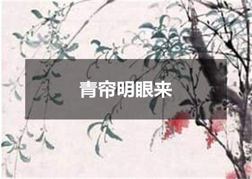 青帘明眼来