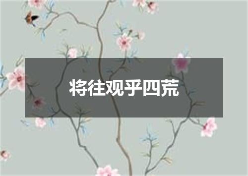 将往观乎四荒