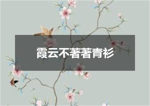 霞云不著著青衫