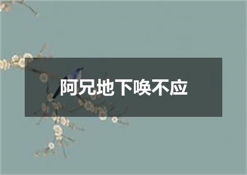 阿兄地下唤不应