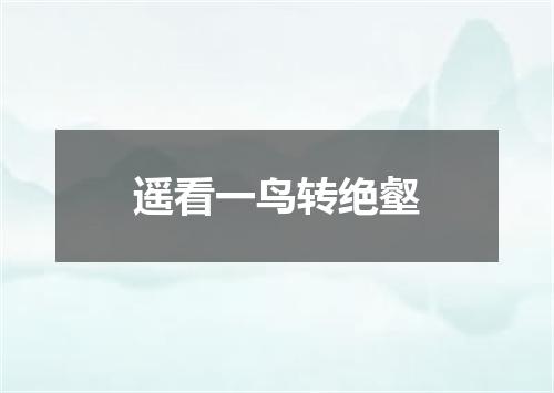 遥看一鸟转绝壑