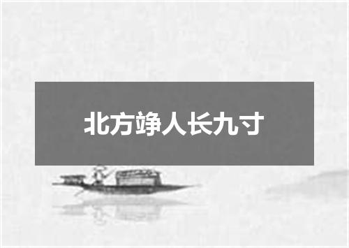 北方竫人长九寸