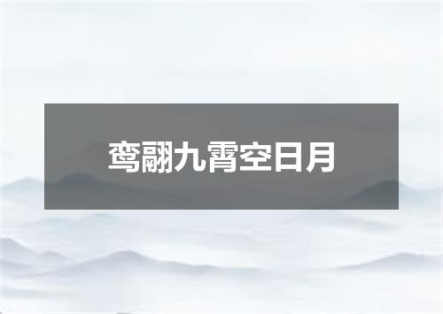 鸾翮九霄空日月