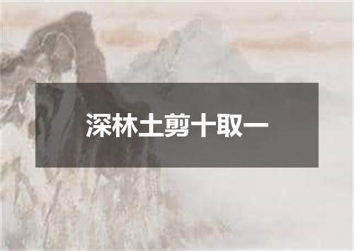 深林土剪十取一