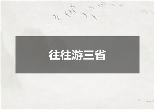 往往游三省