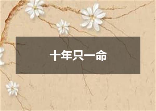 十年只一命