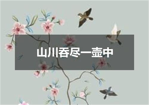 山川吞尽一壶中
