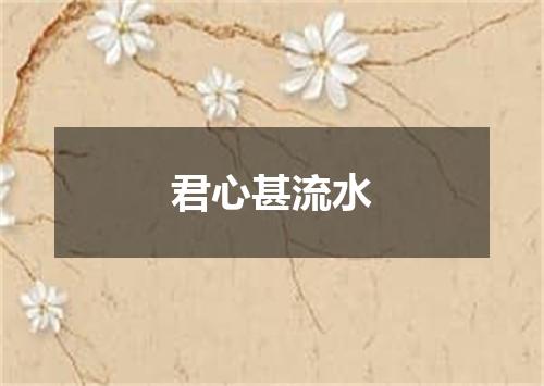 君心甚流水