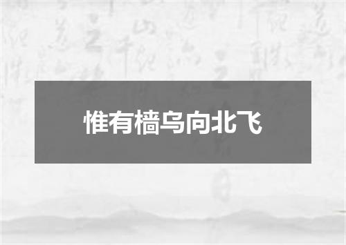 惟有樯乌向北飞