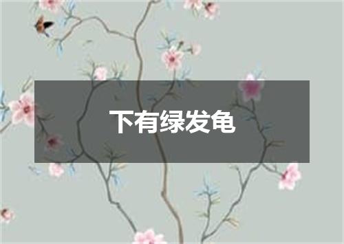 下有绿发龟