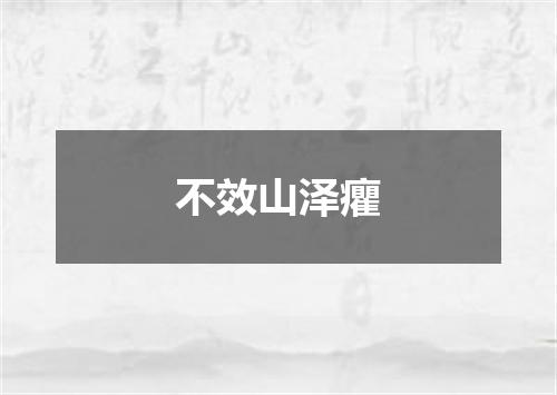 不效山泽癯