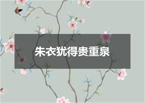 朱衣犹得贵重泉