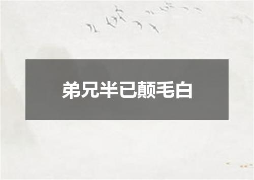 弟兄半已颠毛白