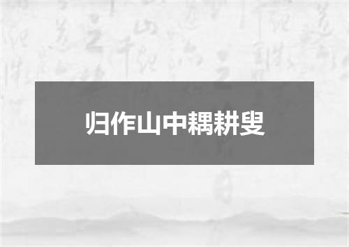 归作山中耦耕叟