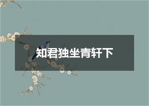 知君独坐青轩下