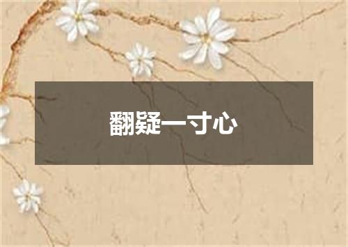 翻疑一寸心