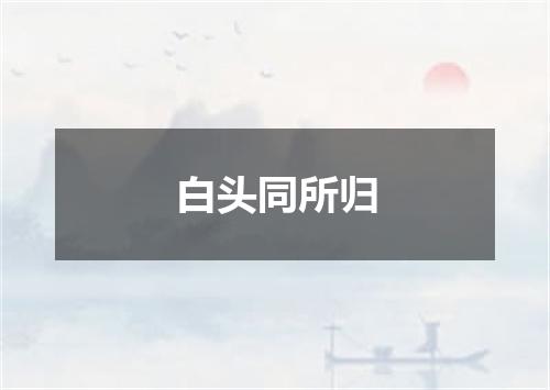 白头同所归