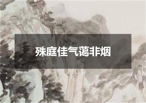 殊庭佳气蔼非烟