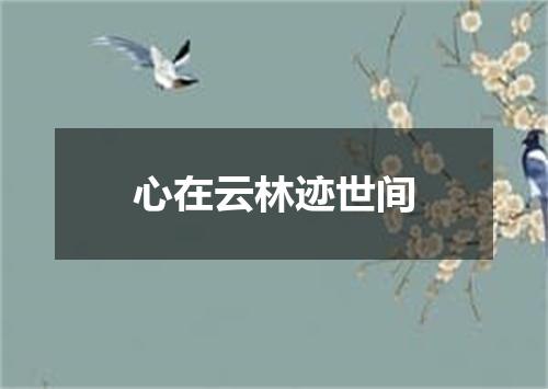 心在云林迹世间