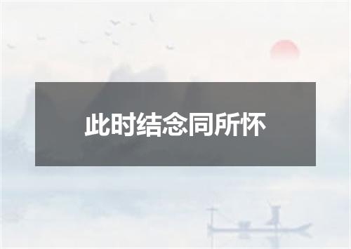 此时结念同所怀