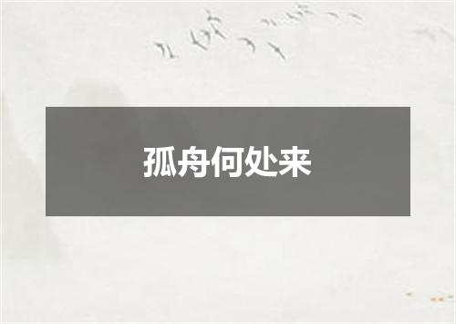 孤舟何处来