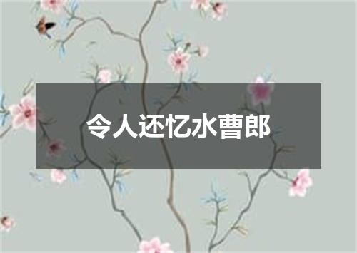 令人还忆水曹郎
