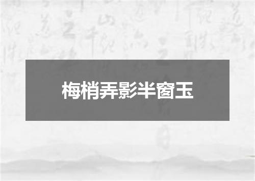 梅梢弄影半窗玉
