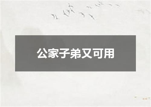 公家子弟又可用