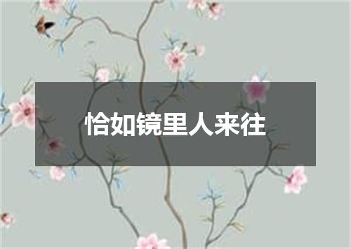 恰如镜里人来往