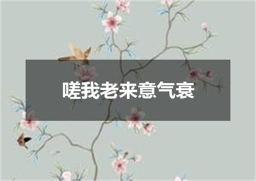 嗟我老来意气衰