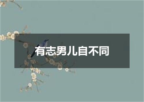 有志男儿自不同