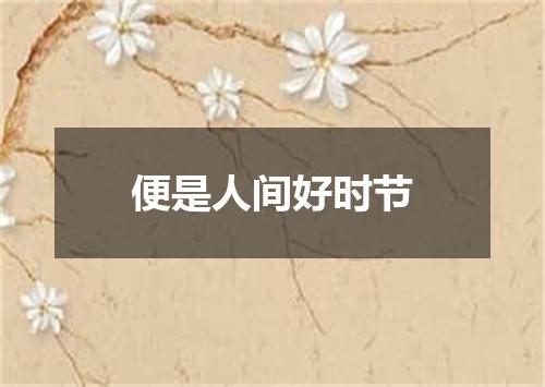 便是人间好时节